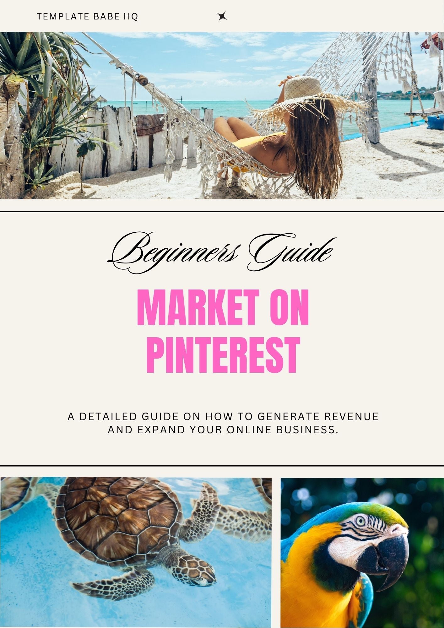 Market on Pinterest beginner guide showing Pinterest marketing dashboard