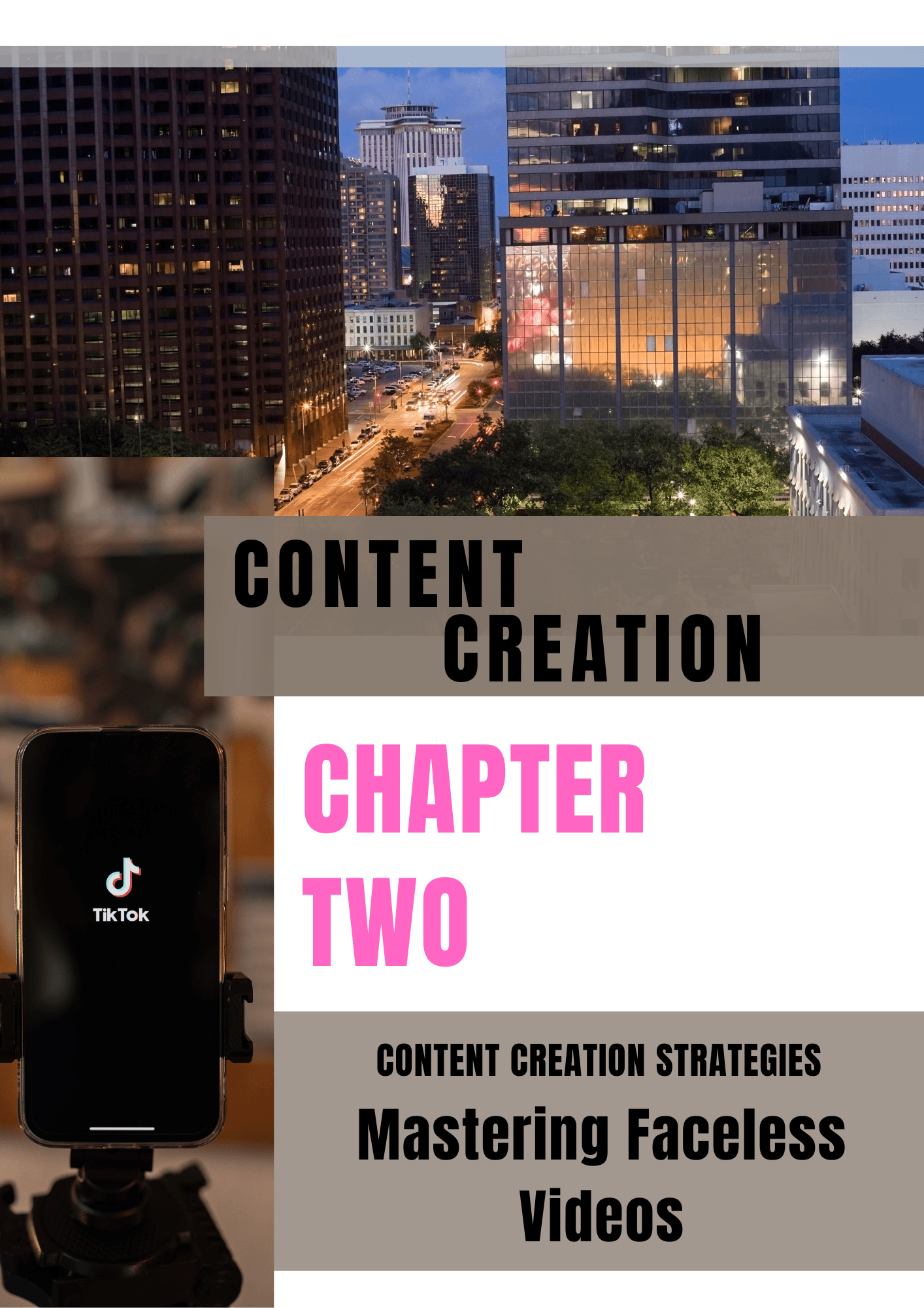 CEO Babe Marketing TikTok Formula viral content strategy screen