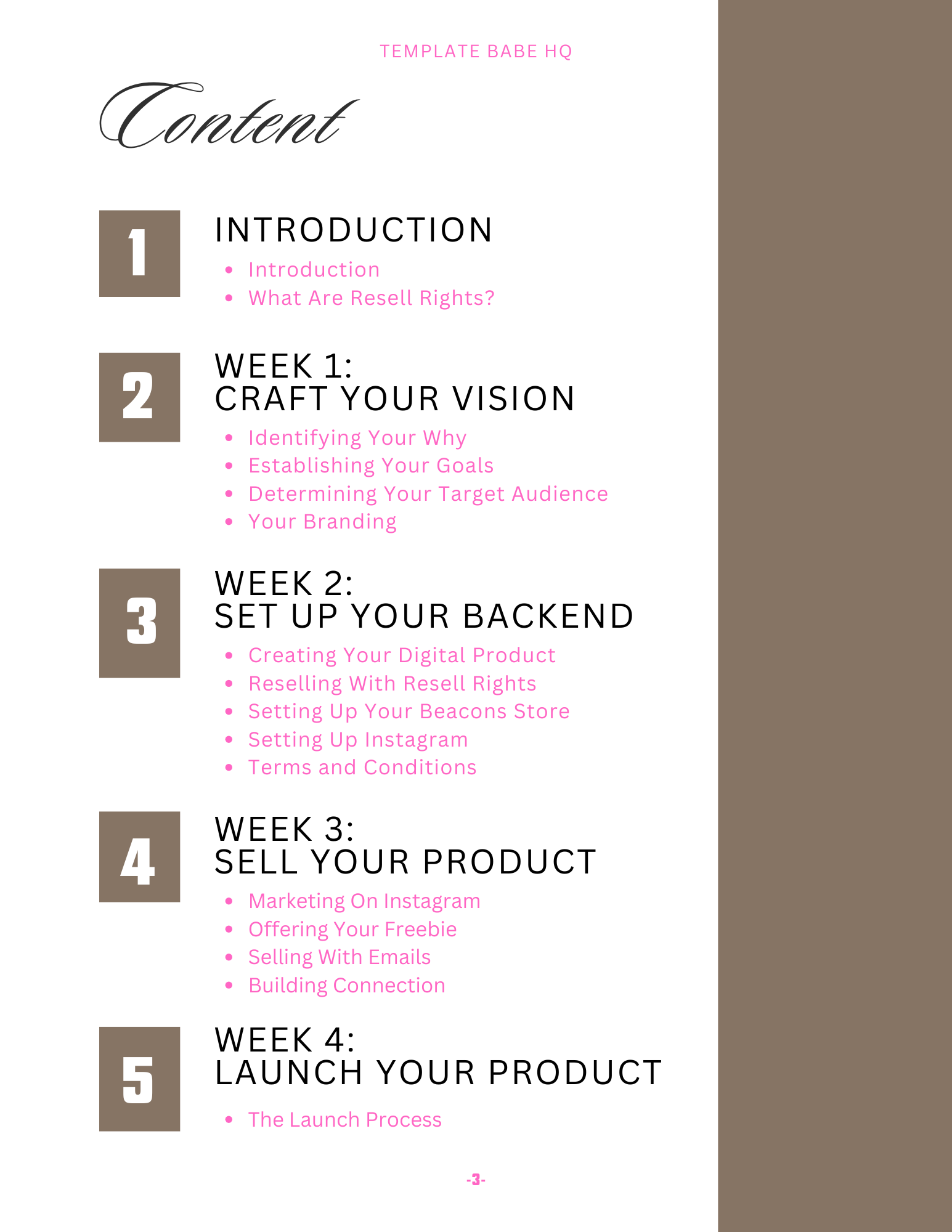 Online business dashboard showing digital products starter kit system